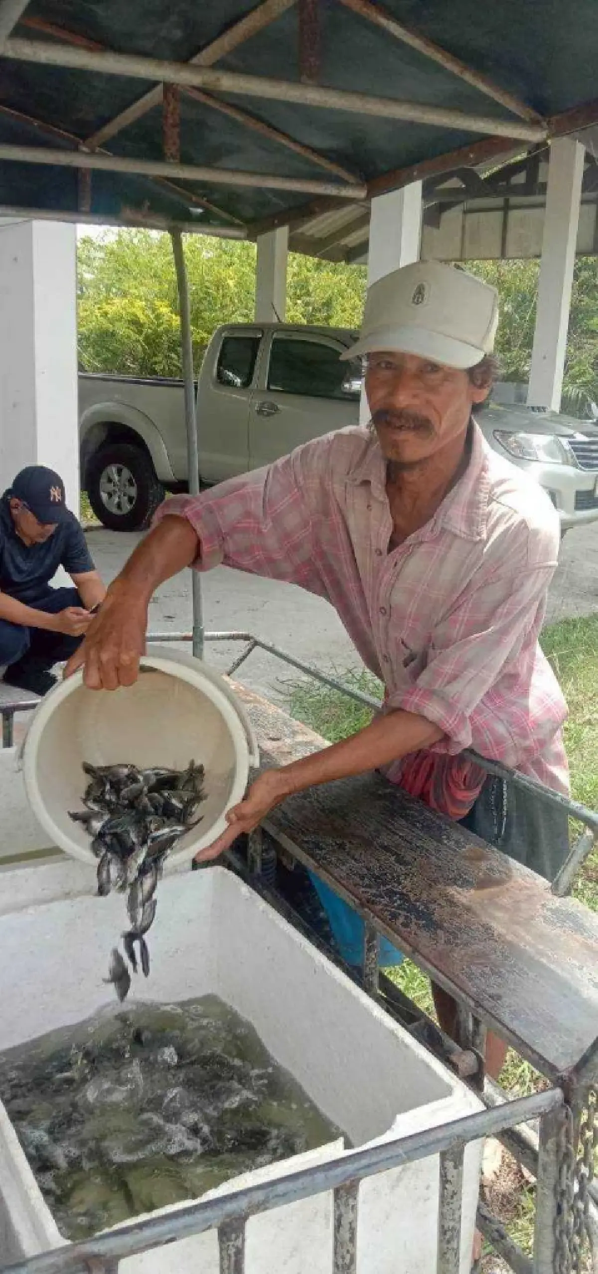 เปิดบทบาท ‘ปลาผู้ล่า’ คุมสัตว์น้ำต่างถิ่น เตือนปล่อยมั่วระบบนิเวศพัง