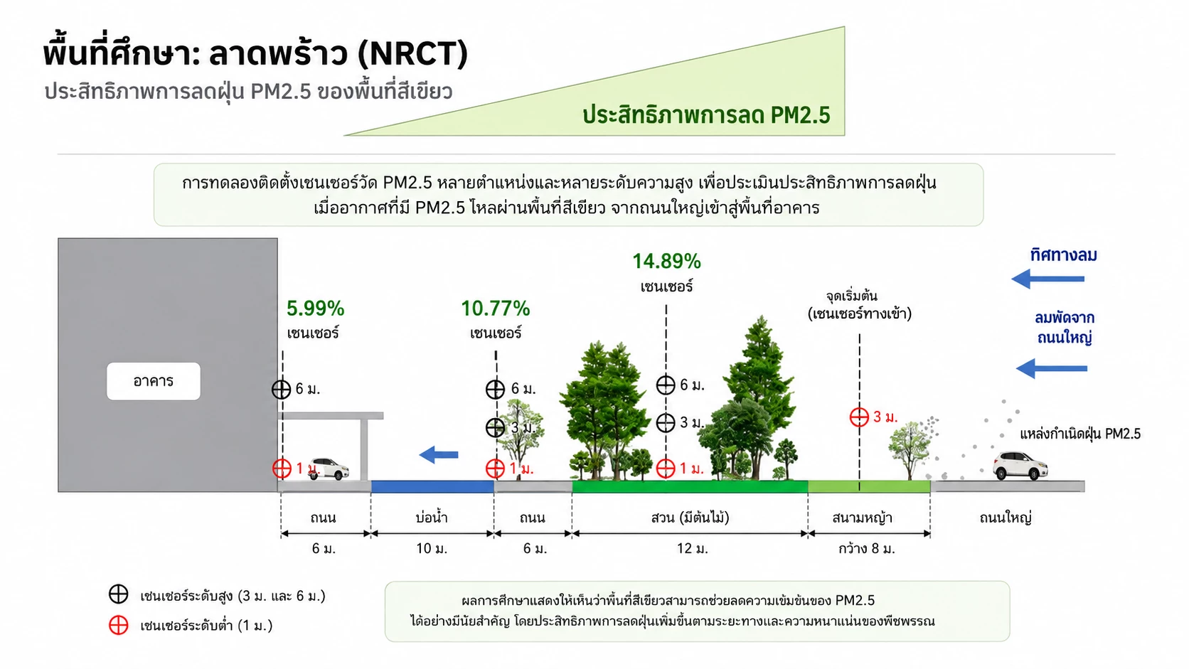 ปลูกต้นไม้สู้ฝุ่น PM2.5 ไม่ใช่แค่ปลูกเยอะ แต่ต้องปลูกให้ถูกวิธี