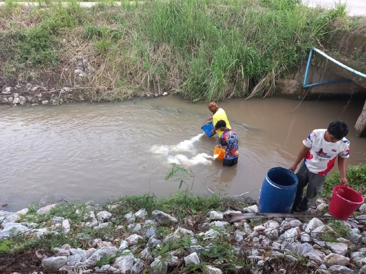 รู้ก่อนรอด ARDA งัด Radar4Flood ดักทางน้ำ 3.3 ล้านไร่ รับมือภัยพิบัติ