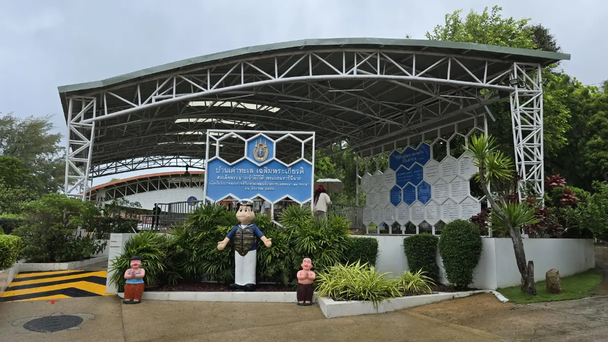 ชวนเที่ยว ‘โยคะ กลางทะเล-ดูเต่าทะล’ ไปกับ Sea · Soul · Sail : Pattaya Wellness Escape