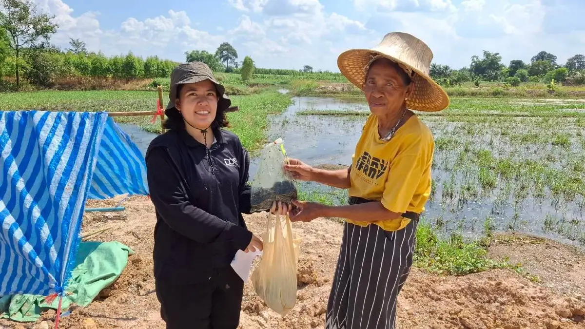 สายด่วนฟื้นฟู กรมส่งเสริมฯ ลุยสำรวจ 1.7 ล้านไร่ เร่งจ่ายเยียวยา