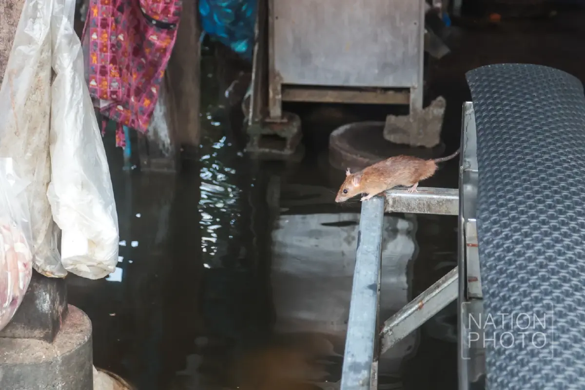 ทัพเรือระดมเรือผลักดันน้ำ 14 ลำ เร่งระบายน้ำท่วมขังลาดกระบัง