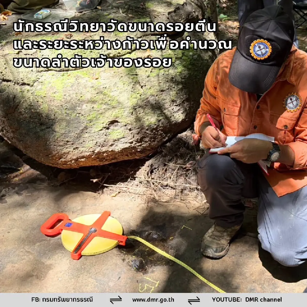 กรมทรัพยากรธรณี ยันแล้ว! เป็น รอยตีนไดโนเสาร์กินเนื้อ อายุ 120 ล้านปี
