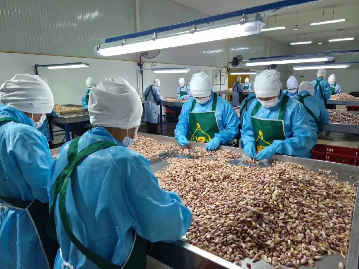 ยิ่งไพศาล SME ลำพูน เติบโตก้าวกระโดด จับมือ CPF พลิกชีวิตเกษตรกร