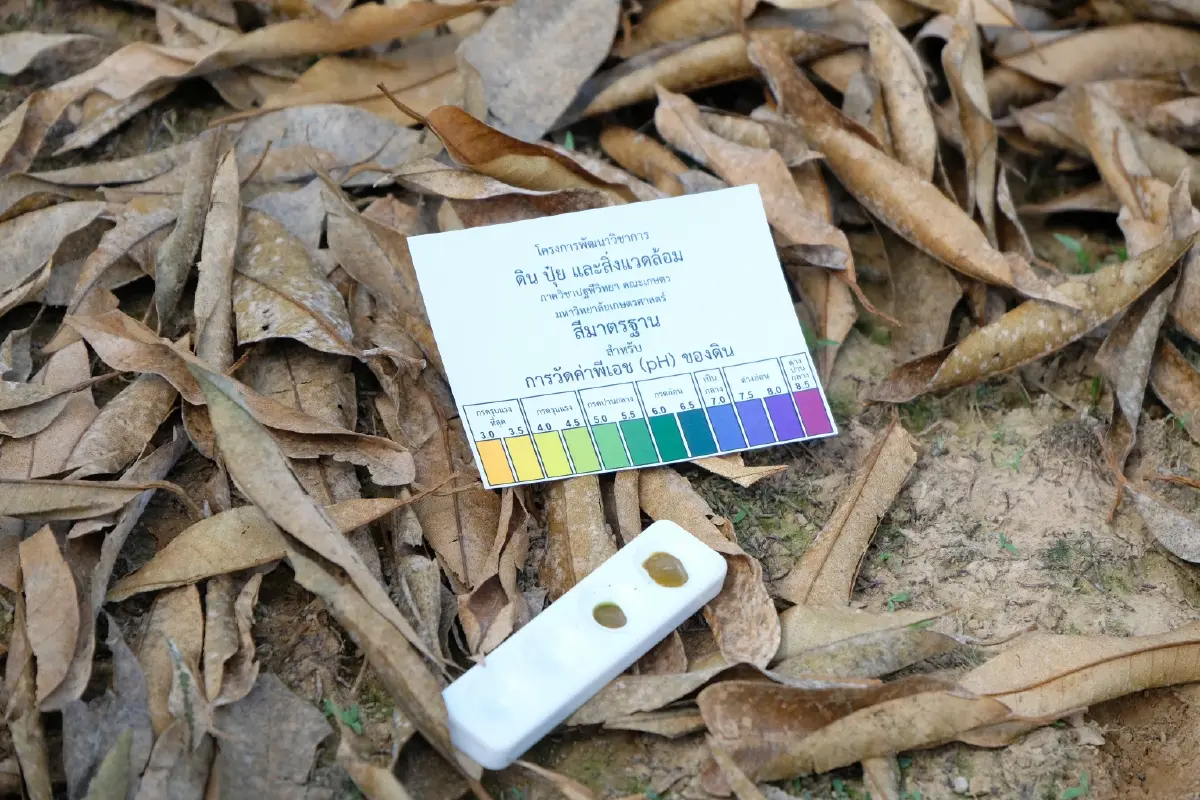 ส่งเสริมการเกษตร ผนึก มก. ลุยไลฟ์ฟื้นฟูพืชหลังน้ำลด 1.8 ล้านไร่