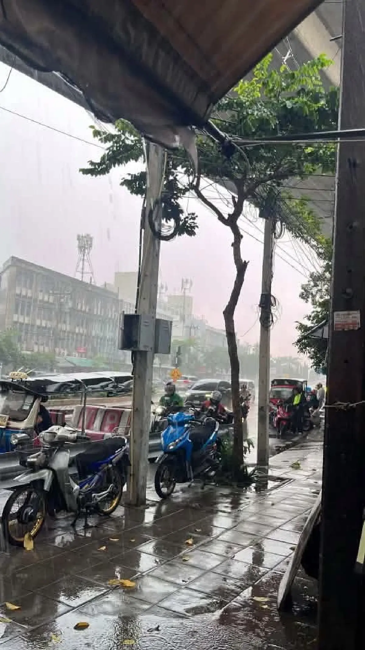 ฝนก่อตัวแล้วตอนนี้ กรมอุตุฯ เผย กทม. มีฝนตกหนัก ฟ้าร้อง ลมแรง ฟ้าผ่า