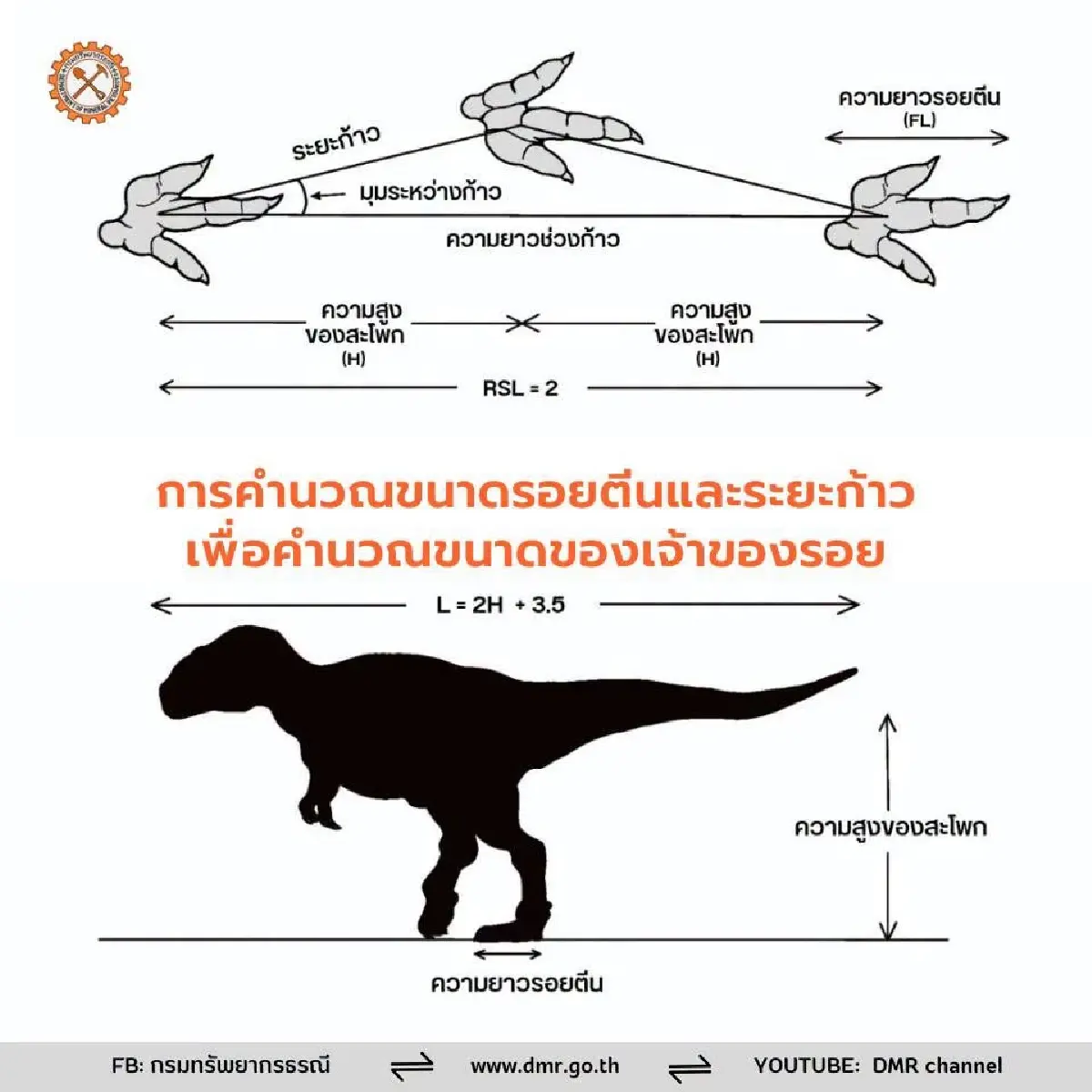 กรมทรัพยากรธรณี ยันแล้ว! เป็น รอยตีนไดโนเสาร์กินเนื้อ อายุ 120 ล้านปี