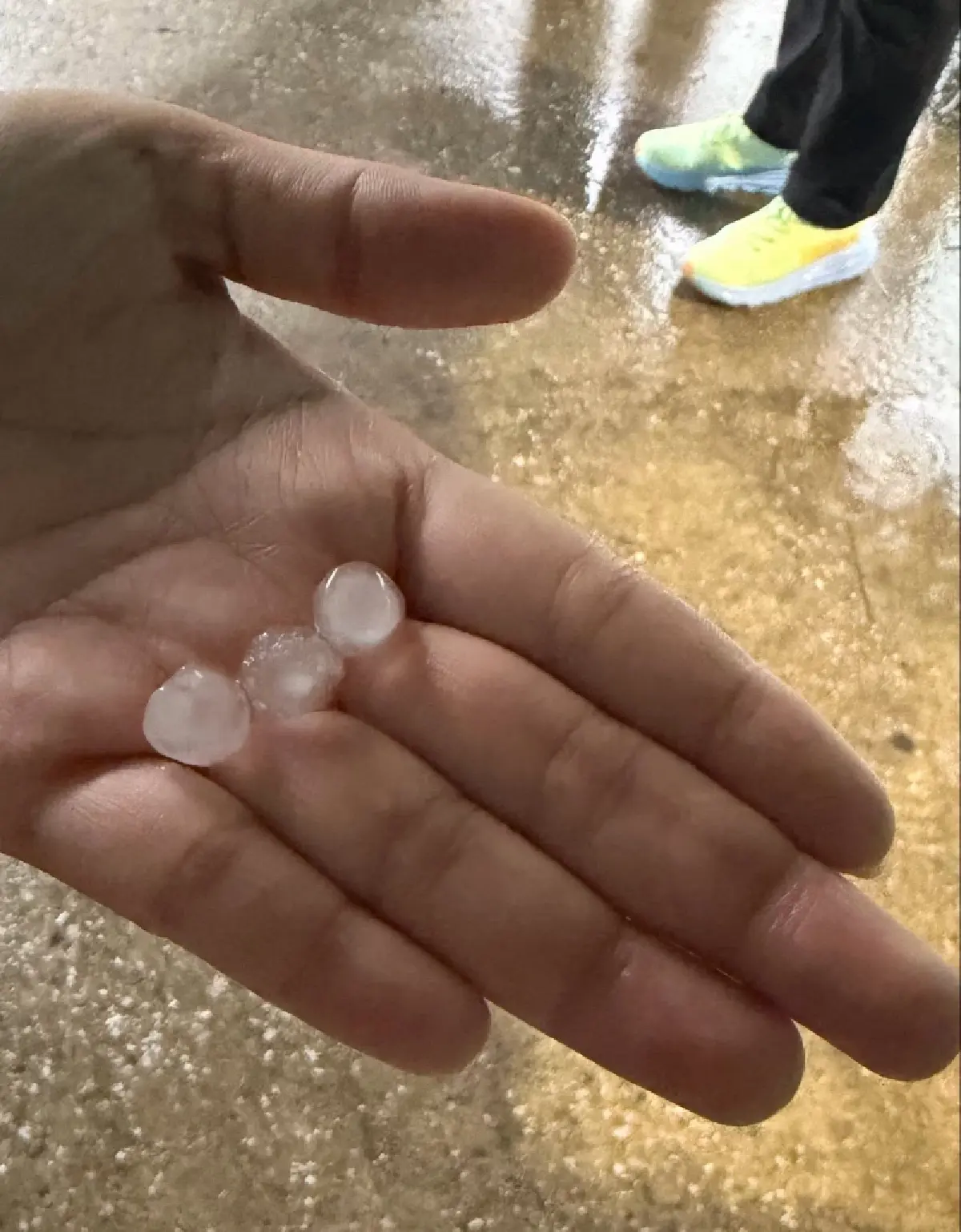 ฝนถล่มกรุงเทพฯ ช่วงเย็น 'รัชดา-ลาดพร้าว-โชคชัย 4' ลูกเห็บตก