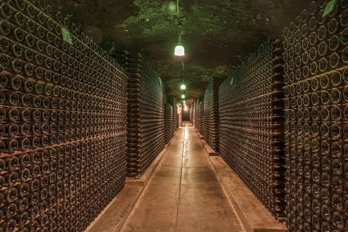 ศิลปะ กาลเวลา และมูลค่า 'Fine Wine' จากคลังใต้ดินสู่สินทรัพย์สุนทรียะ