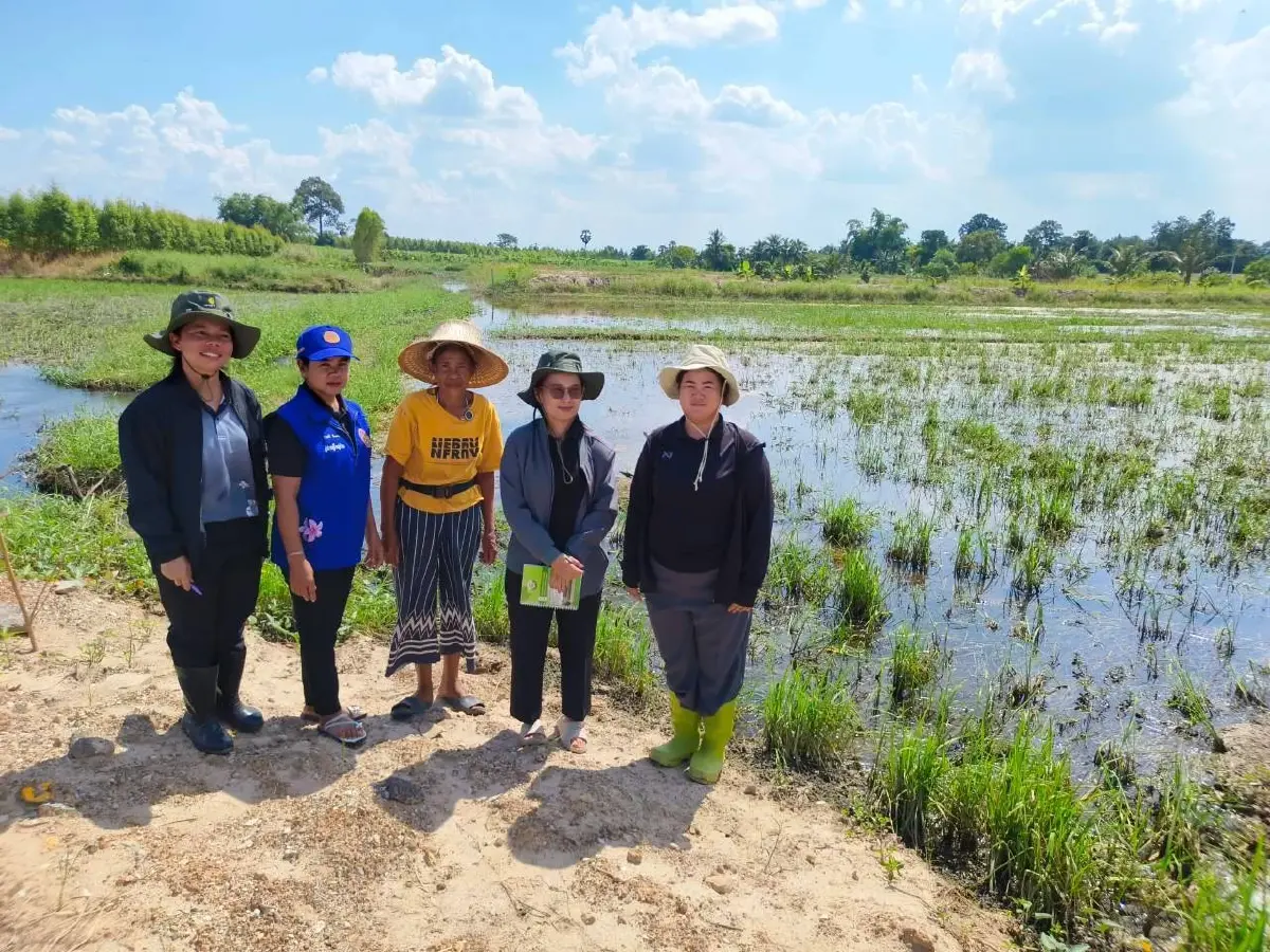 สายด่วนฟื้นฟู กรมส่งเสริมฯ ลุยสำรวจ 1.7 ล้านไร่ เร่งจ่ายเยียวยา