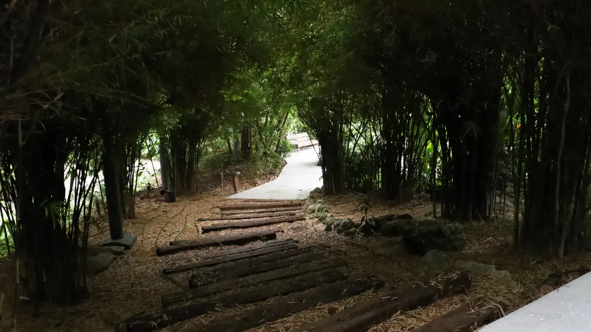 ชวนไป ‘อาบป่า’ ในเมือง ณ ‘The Forestias’ ที่ Habitat บางนา กม.7