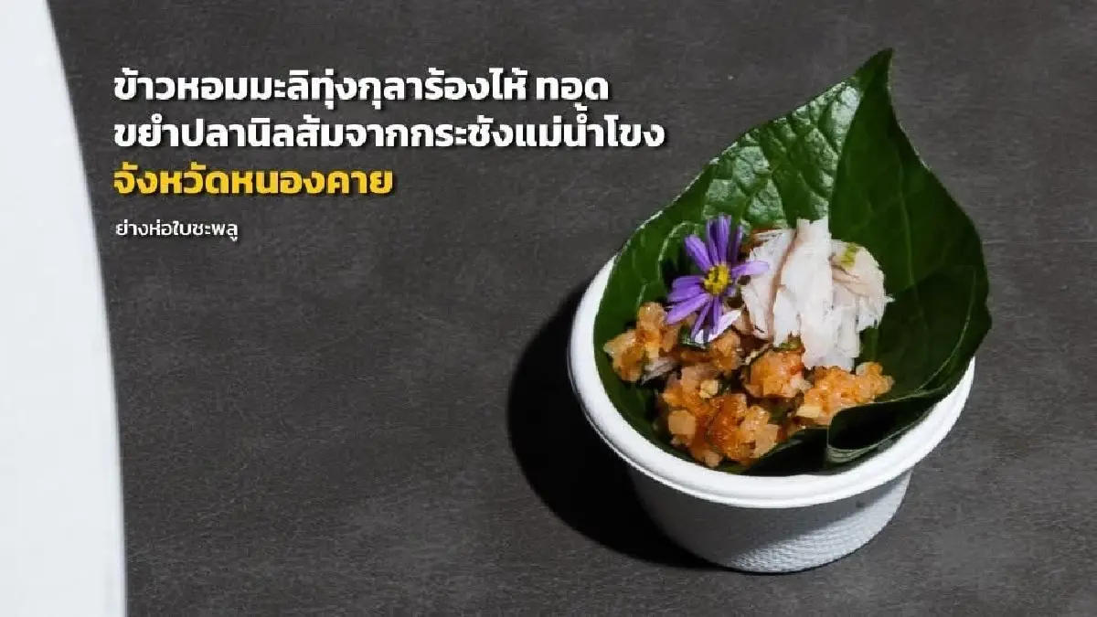 ‘ศภจี‘ สั่งพาณิชย์–วัฒนธรรม–ท่องเที่ยวฯ  ต่อยอด IMF–World Bank เพิ่มมูลค่าเศรษฐกิจ