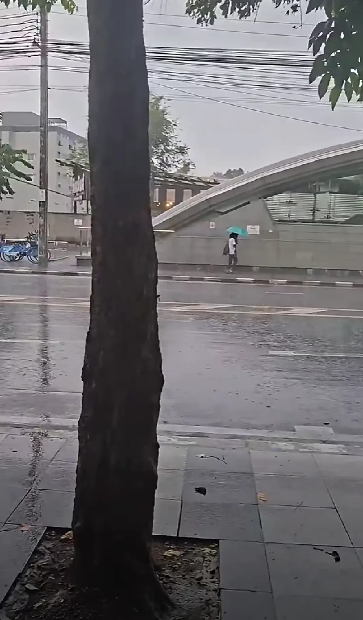 อัปเดต กทม. ฝนตกหนักอีกวันนี้ 17 ต.ค.69 ระวังฝนแช่ขัง 1 ชั่วโมง รอระบาย