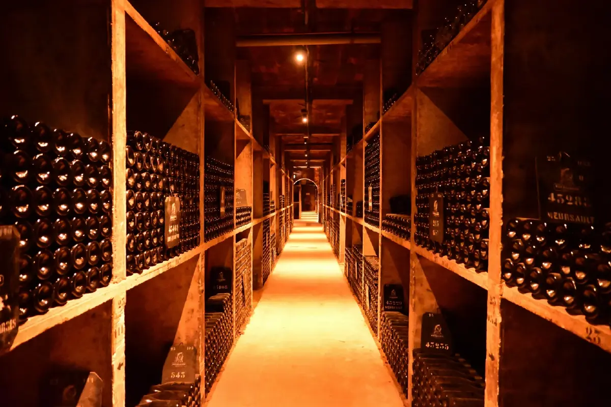 ศิลปะ กาลเวลา และมูลค่า 'Fine Wine' จากคลังใต้ดินสู่สินทรัพย์สุนทรียะ