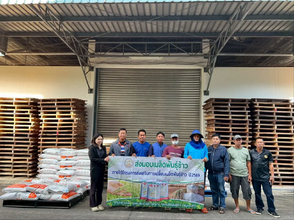 ศูนย์ข้าวลำปาง กระจายพันธุ์ดี 280 ตัน อุ้ม 2,950 ครัวเรือน