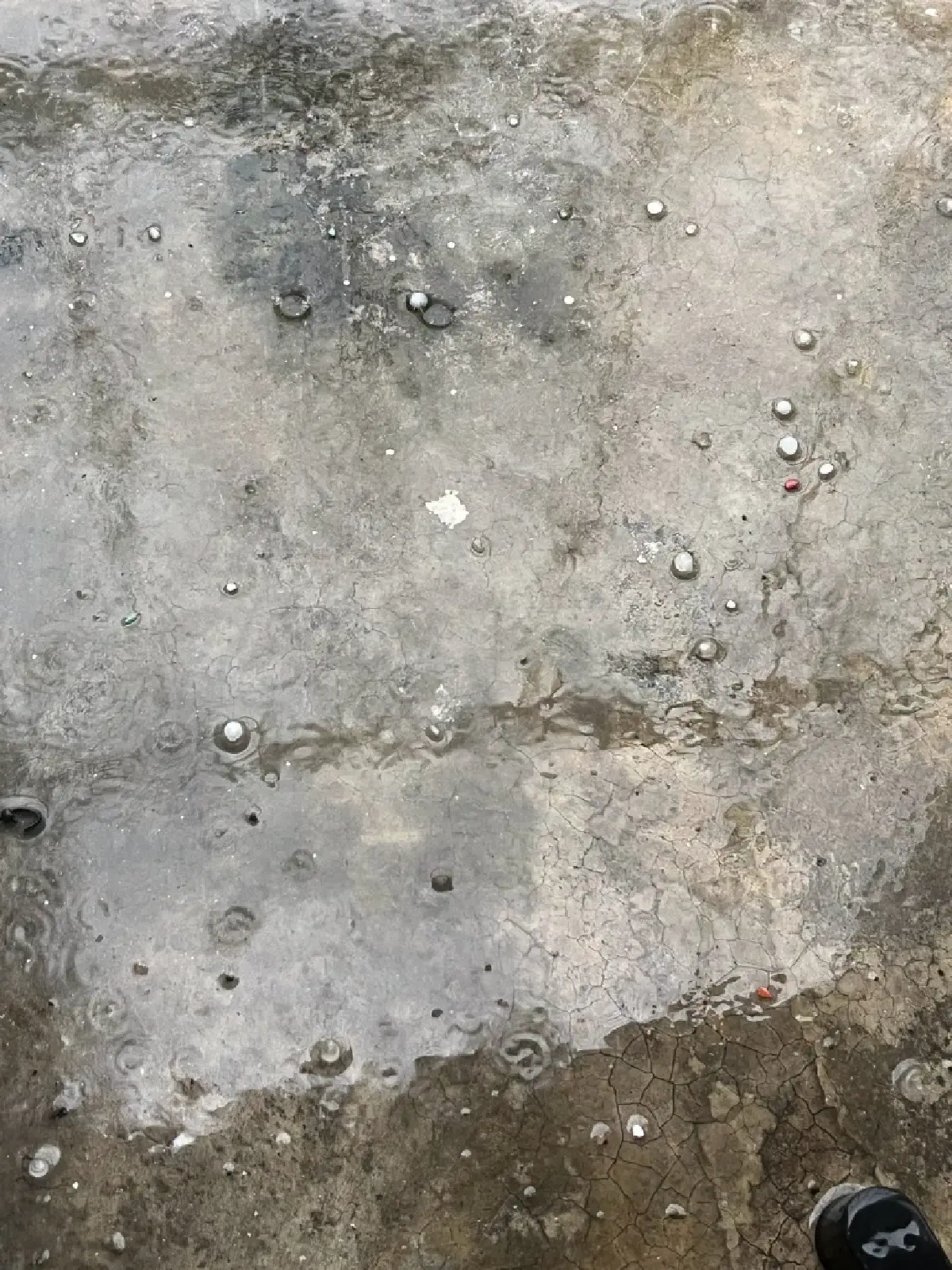 ฝนถล่มกรุงเทพฯ ช่วงเย็น 'รัชดา-ลาดพร้าว-โชคชัย 4' ลูกเห็บตก