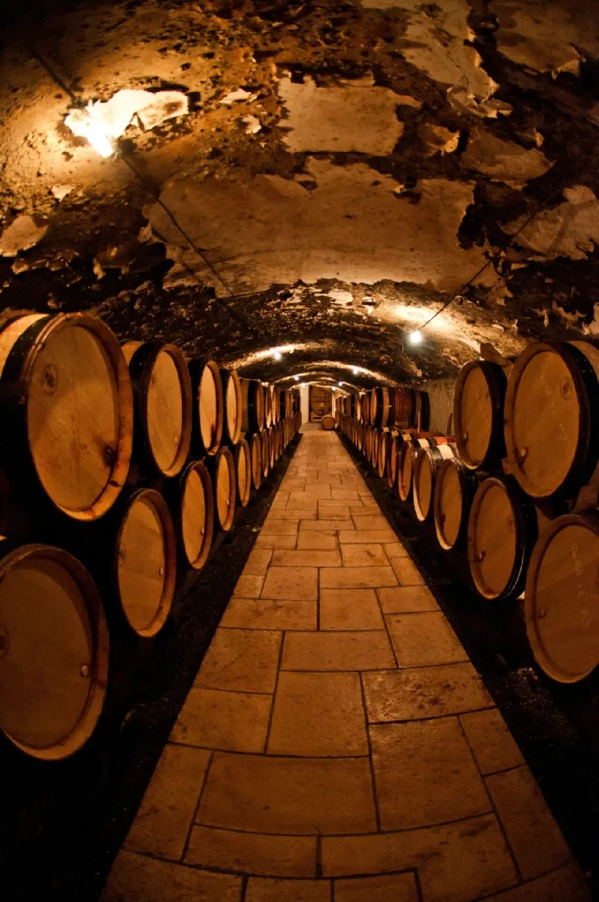 ศิลปะ กาลเวลา และมูลค่า 'Fine Wine' จากคลังใต้ดินสู่สินทรัพย์สุนทรียะ