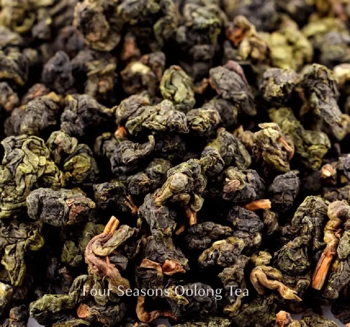 TP TEA goodness bar เครื่องดื่มชาเพื่อสุขภาพ รับ Longivity ยุคใหม่