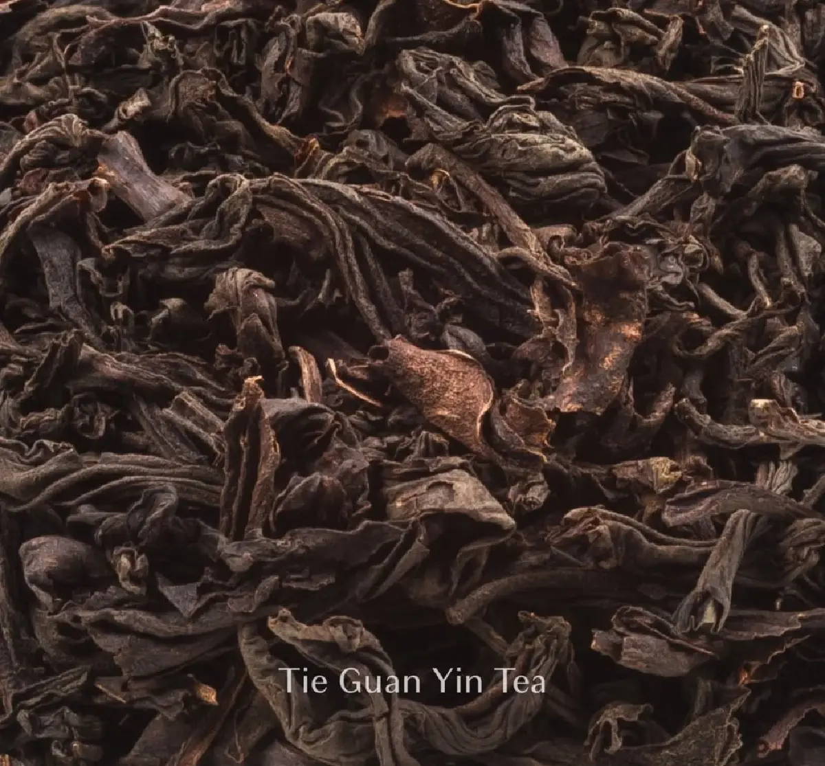 TP TEA goodness bar เครื่องดื่มชาเพื่อสุขภาพ รับ Longivity ยุคใหม่