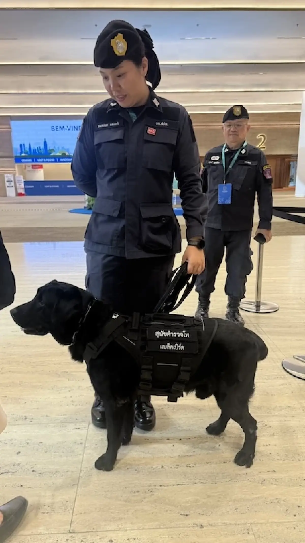 ภารกิจ 'สุนัขตำรวจ K-9' เบื้องหลังความปลอดภัยขั้นสูงสุด งานประชุมระดับโลก IMF-World Bank 2026