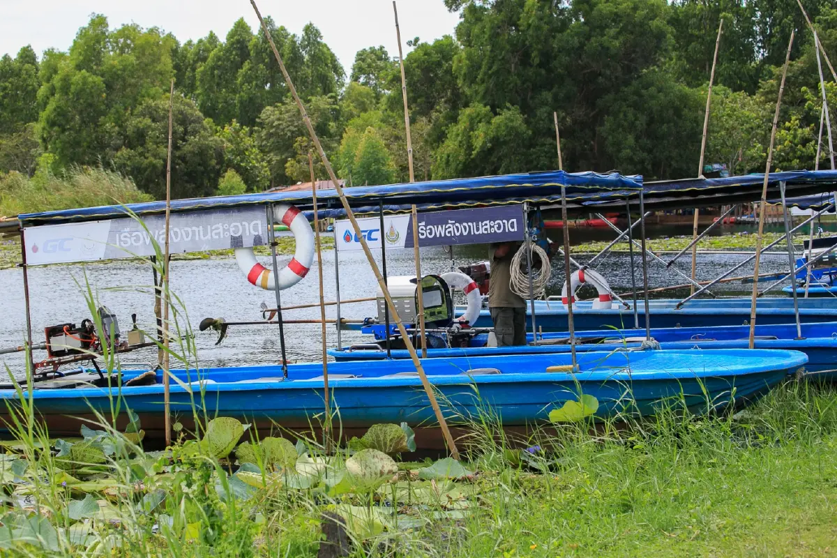 พายเรือเข้าป่าแห่งจินตนาการ ชมต้นไม้ดึกดำบรรพ์ 'เสม็ดโบราณพันปี'