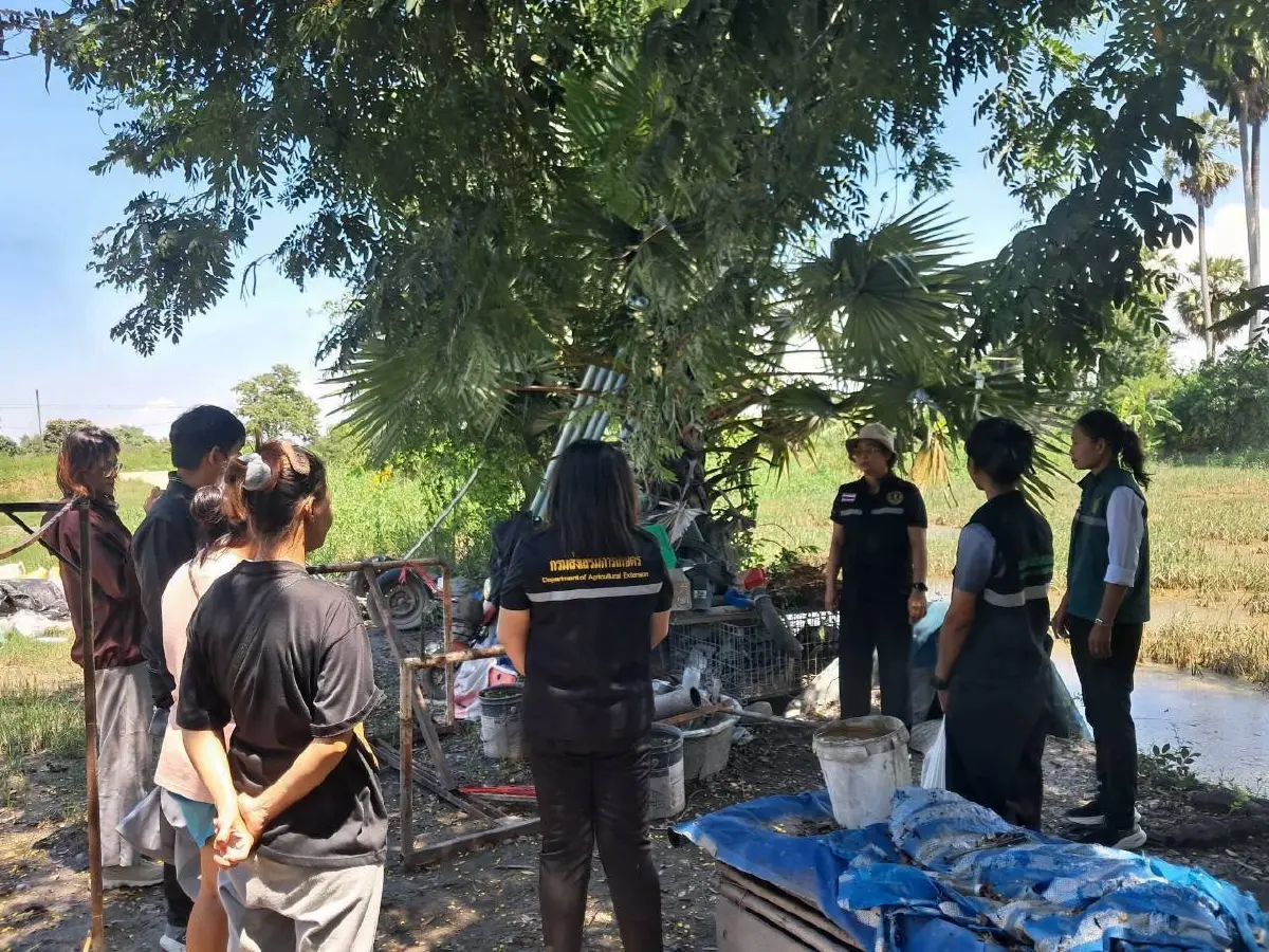 สายด่วนฟื้นฟู กรมส่งเสริมฯ ลุยสำรวจ 1.7 ล้านไร่ เร่งจ่ายเยียวยา