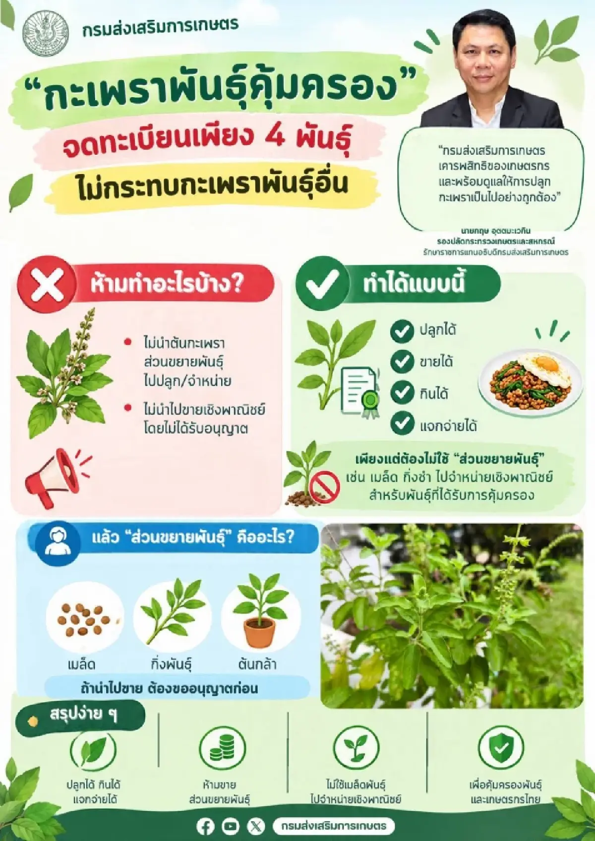 กะเพราไม่ได้เป็นของใคร เกษตรฯ ยืนยัน 4 พันธุ์ใหม่ไม่กระทบพันธุ์เดิม