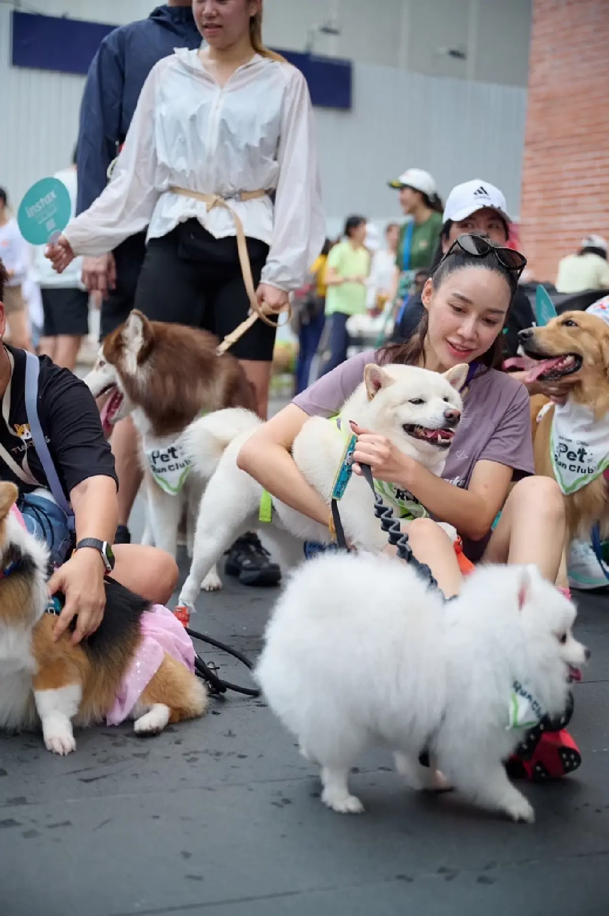 ทาสไม่ต้องตาม! AIS เปิดคัว “มือถือสัตว์เลี้ยง” ตามตัวได้ ดู GPS-วิดีโอคอลเห็นหน้า
