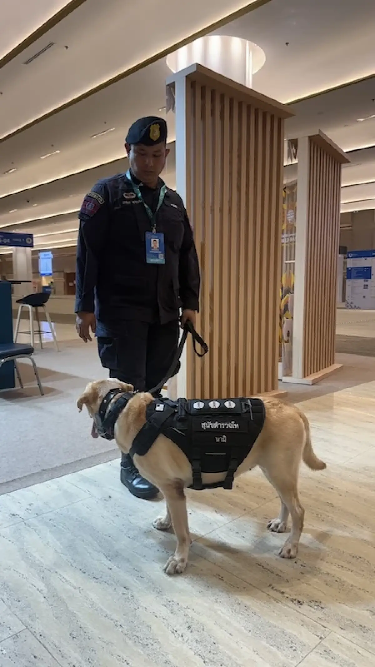 ภารกิจ 'สุนัขตำรวจ K-9' เบื้องหลังความปลอดภัยขั้นสูงสุด งานประชุมระดับโลก IMF-World Bank 2026
