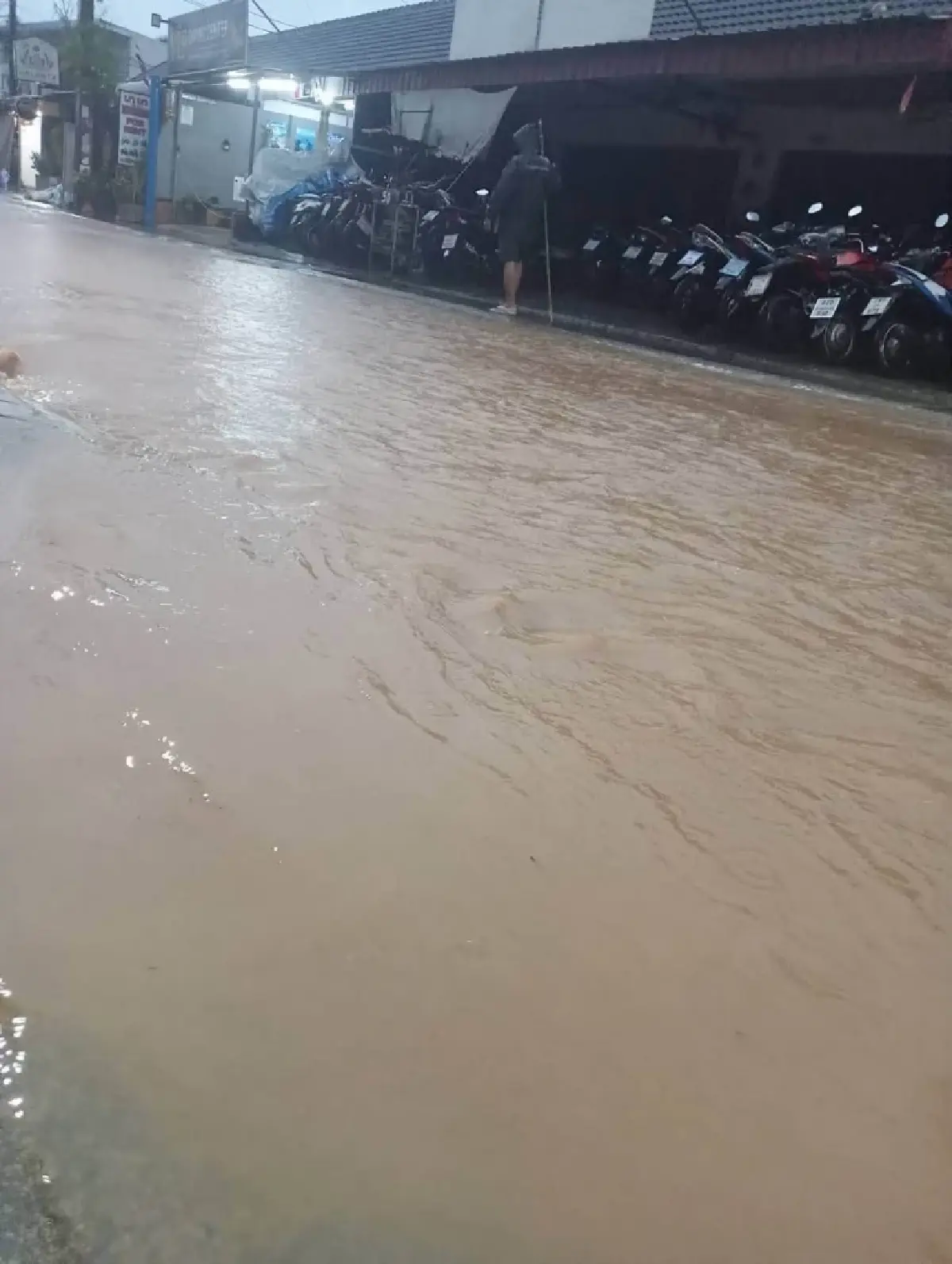 น้ำท่วมภูเก็ตล่าสุด ฝนตกหนัก 70% 'ถนนโคกโตนด-หน้าวัดใต้' ผ่านไม่ได้