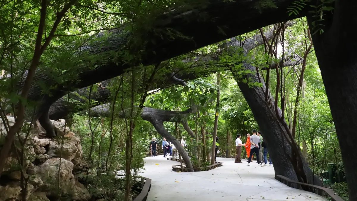 ชวนไป ‘อาบป่า’ ในเมือง ณ ‘The Forestias’ ที่ Habitat บางนา กม.7