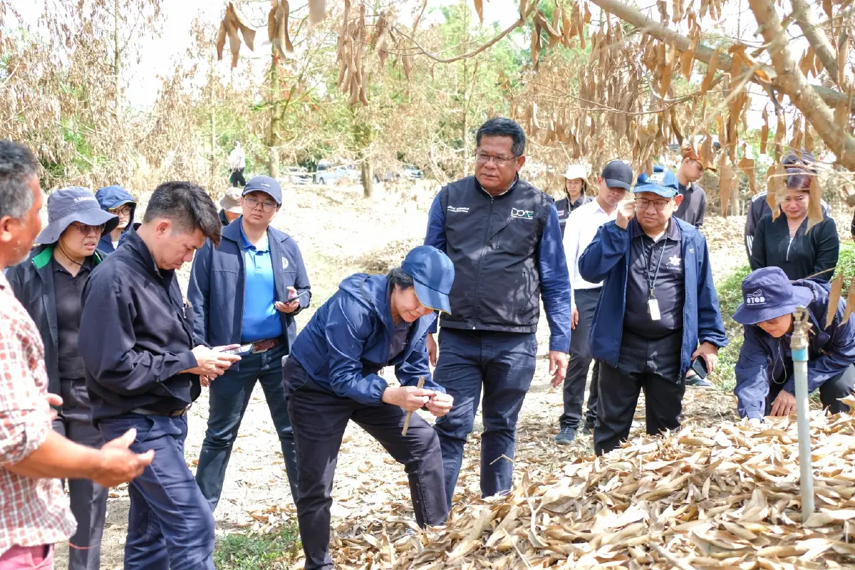 ส่งเสริมการเกษตร ผนึก มก. ลุยไลฟ์ฟื้นฟูพืชหลังน้ำลด 1.8 ล้านไร่