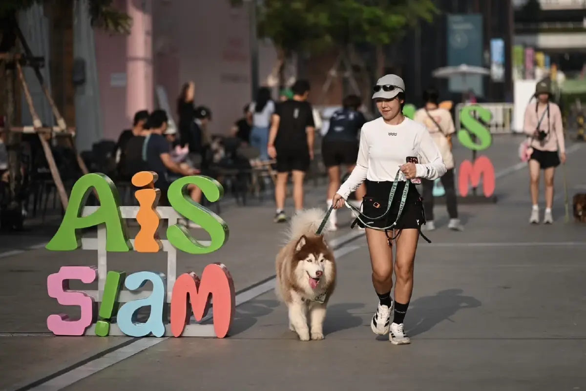 ทาสไม่ต้องตาม! AIS เปิดคัว “มือถือสัตว์เลี้ยง” ตามตัวได้ ดู GPS-วิดีโอคอลเห็นหน้า