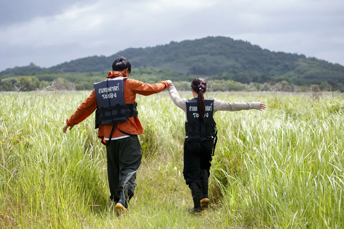 พายเรือเข้าป่าแห่งจินตนาการ ชมต้นไม้ดึกดำบรรพ์ 'เสม็ดโบราณพันปี'