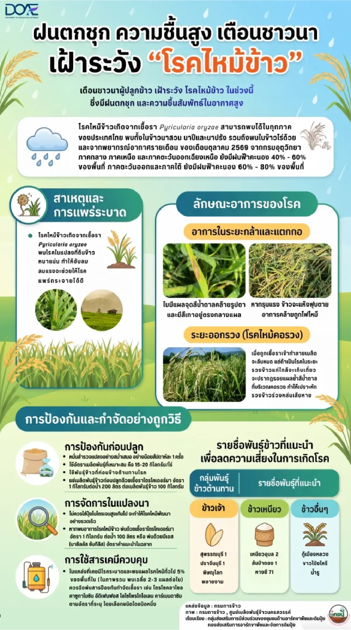 กรมส่งเสริมการเกษตร แนะฟื้นฟูนาหลังน้ำลด-เฝ้าระวังโรคไหม้