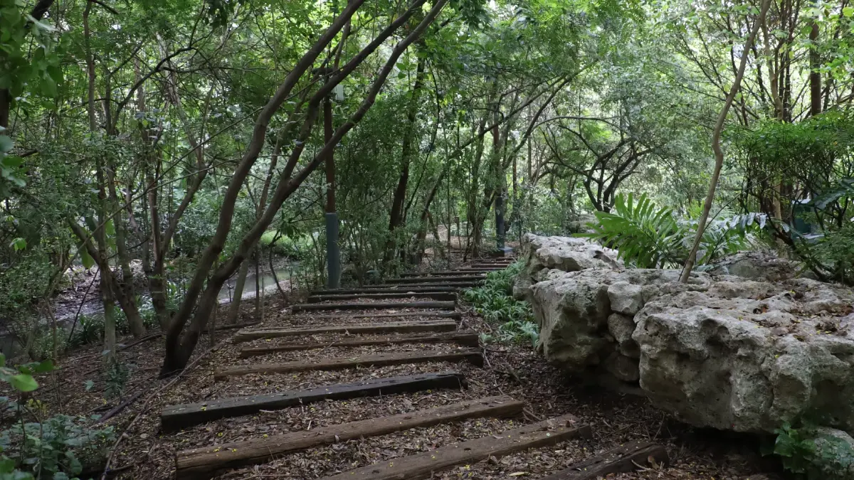 ชวนไป ‘อาบป่า’ ในเมือง ณ ‘The Forestias’ ที่ Habitat บางนา กม.7