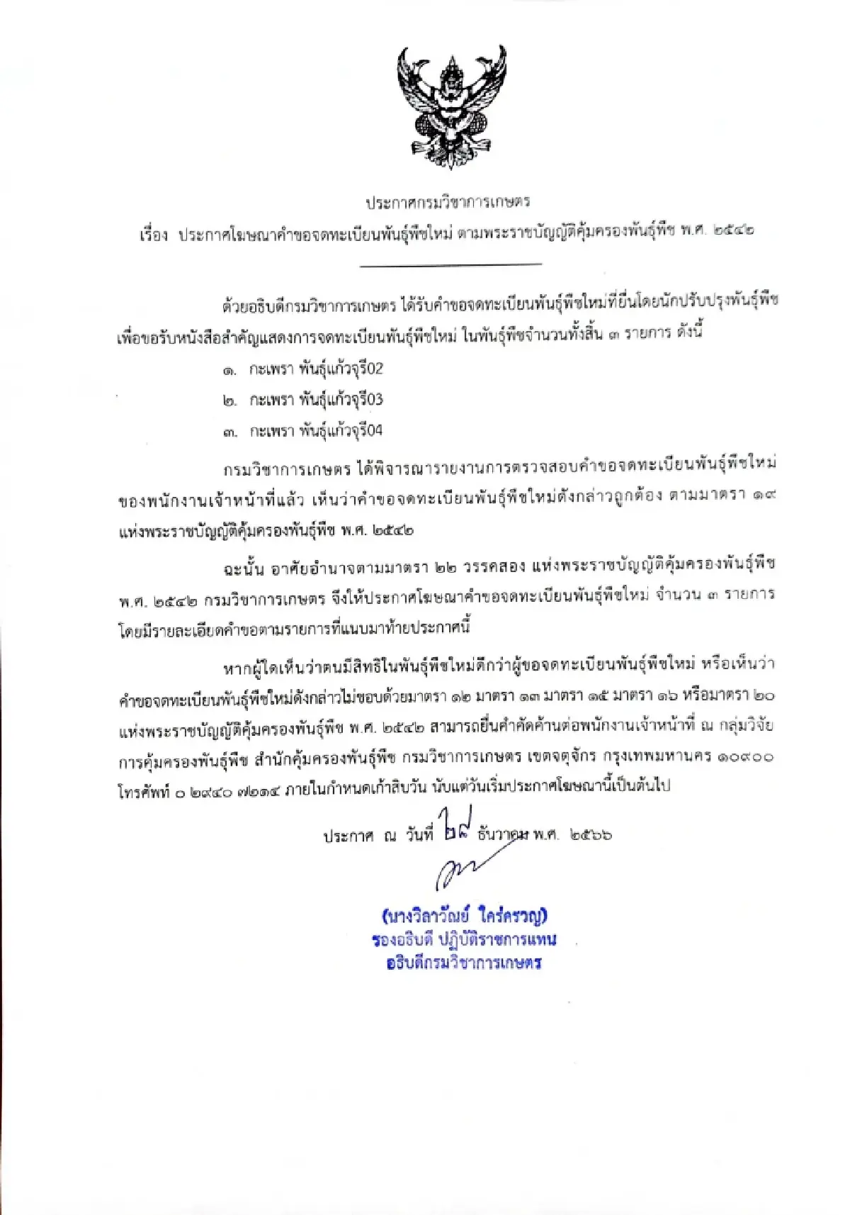 เปิดปมทุนใหญ่ จดทะเบียน 'กะเพรา' 4 พันธุ์ในไทย ชาวบ้านปลูกกิน-ขายได้ไหม?