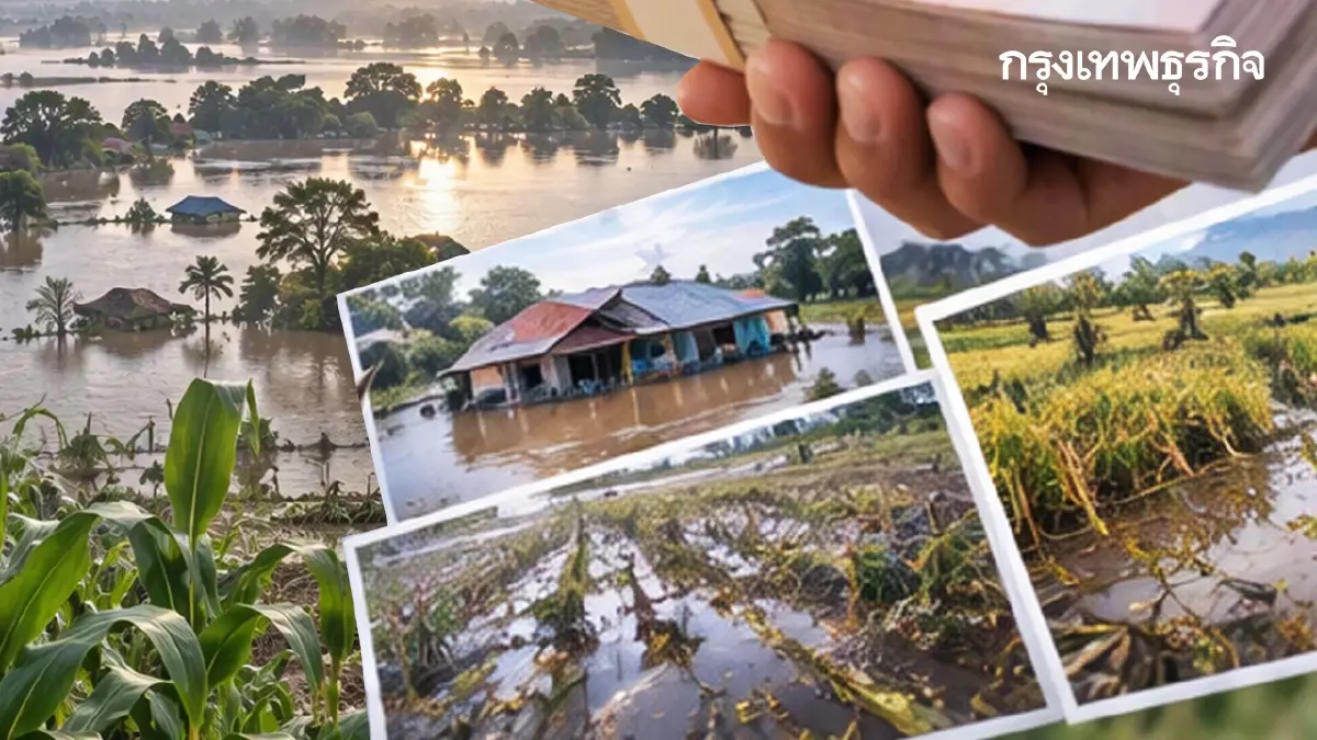 ขั้นตอนรับเงินช่วยเหลือชาวนา ชาวไร่ เยียวยาน้ำท่วม พื้นที่เกษตร