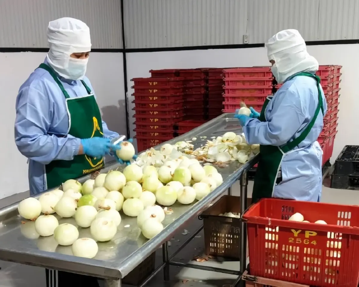 ยิ่งไพศาล SME ลำพูน เติบโตก้าวกระโดด จับมือ CPF พลิกชีวิตเกษตรกร
