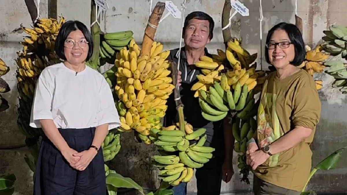 มากกว่าผลไม้ ‘รสชาติไทย’ ถอดรหัสกล้วย ชูพลังวัตถุดิบชาติ