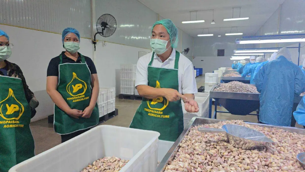 ยิ่งไพศาล SME ลำพูน เติบโตก้าวกระโดด จับมือ CPF พลิกชีวิตเกษตรกร