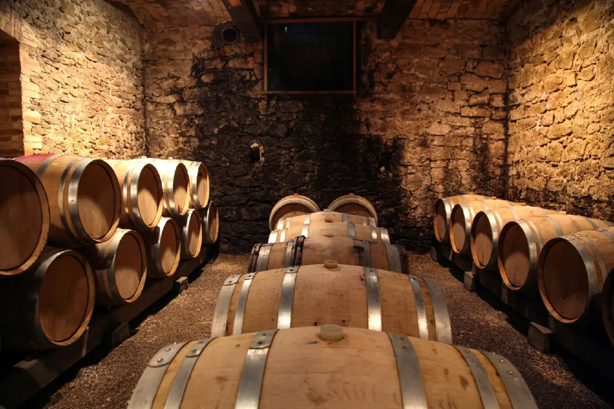 ศิลปะ กาลเวลา และมูลค่า 'Fine Wine' จากคลังใต้ดินสู่สินทรัพย์สุนทรียะ