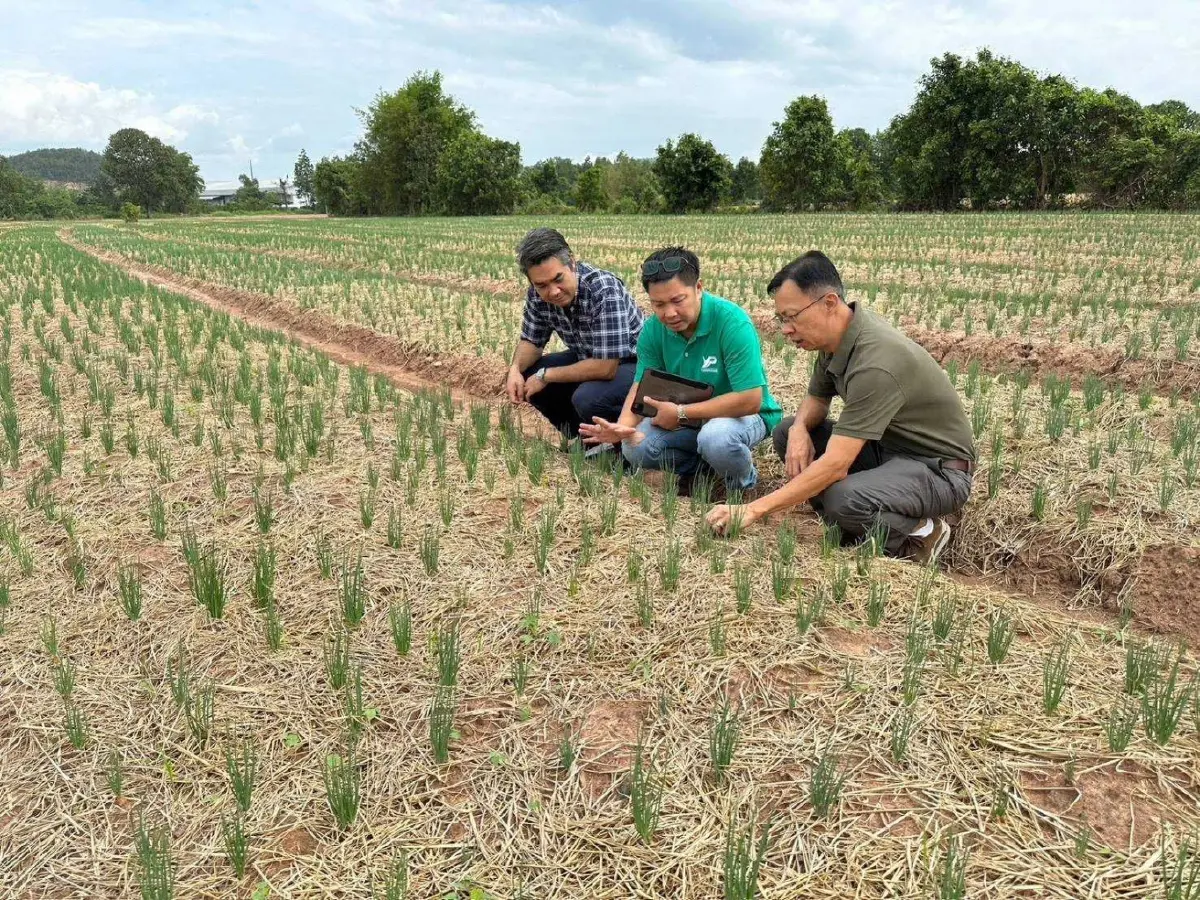 ยิ่งไพศาล SME ลำพูน เติบโตก้าวกระโดด จับมือ CPF พลิกชีวิตเกษตรกร