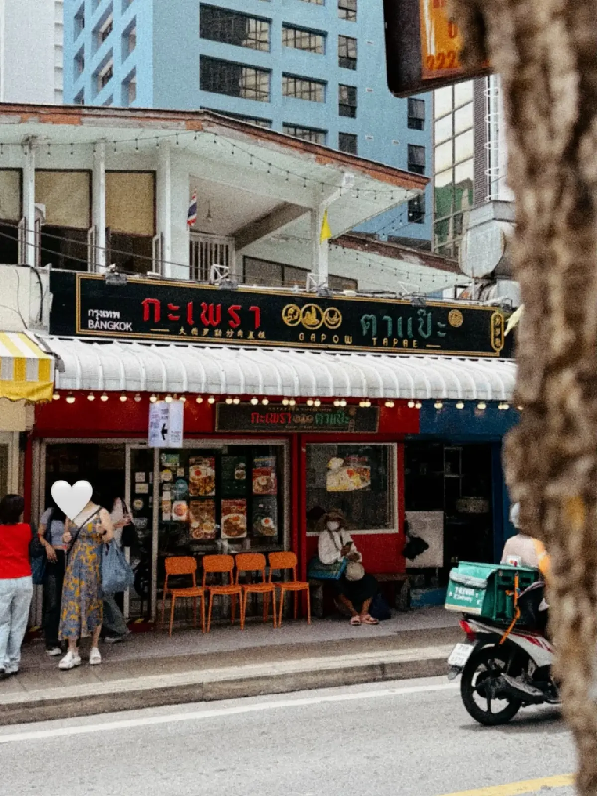 ‘ร้านกะเพรา’ กัดฟันแบกต้นทุน กะเพราพุ่ง ‘โลละ 200’ เพราะเน่าน้ำ-เป็นรา เคราะห์ซ้ำไข่ไก่ขึ้นอีก