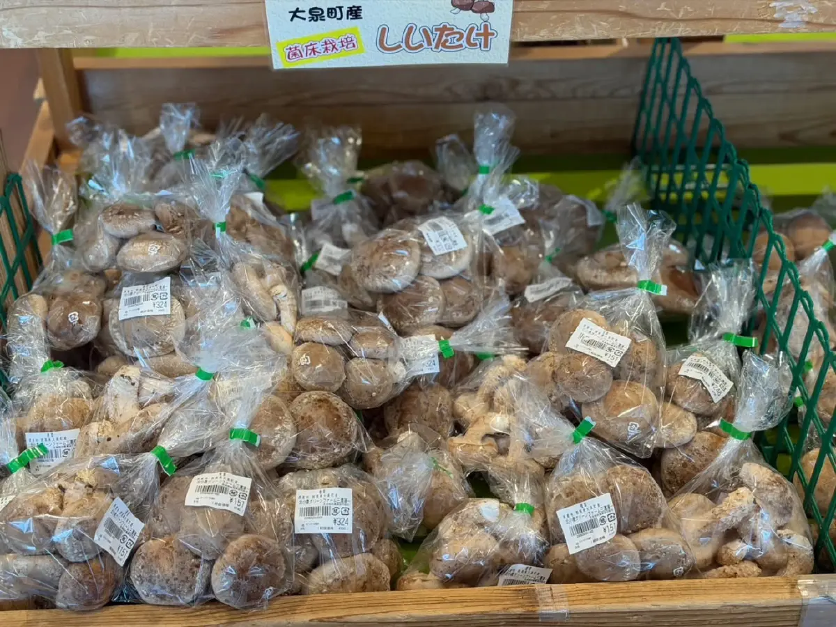 กรมส่งเสริมสหกรณ์ ดันสินค้าพรีเมียมไทยปักธงตลาดญี่ปุ่น