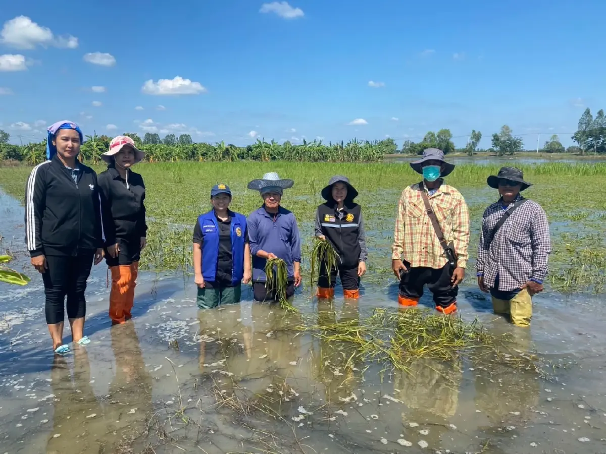สายด่วนฟื้นฟู กรมส่งเสริมฯ ลุยสำรวจ 1.7 ล้านไร่ เร่งจ่ายเยียวยา