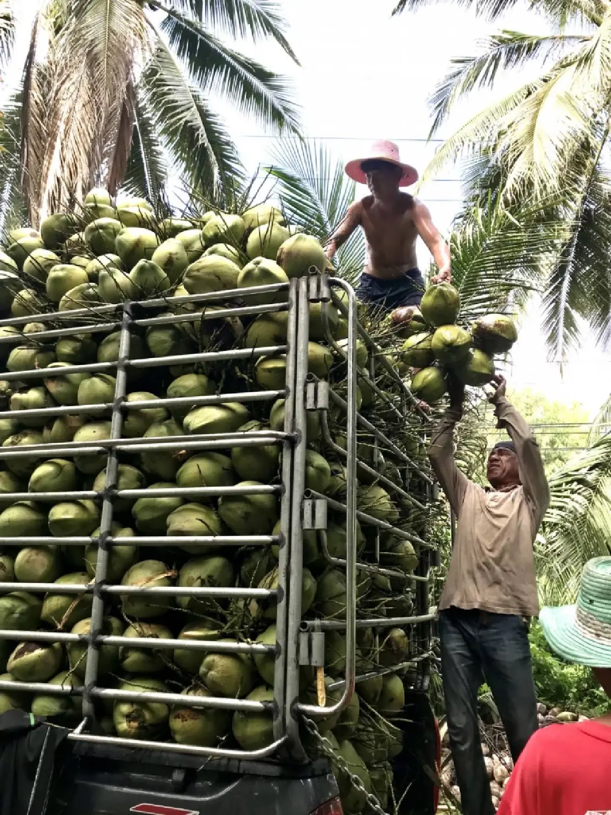 กษ. จับมือ FAO-ADB ขับเคลื่อน RAP-T ดันเกษตรอัจฉริยะ (CSA)