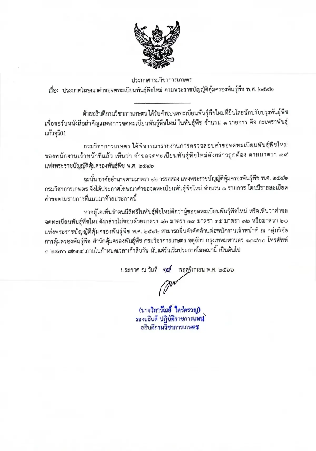 เปิดปมทุนใหญ่ จดทะเบียน 'กะเพรา' 4 พันธุ์ในไทย ชาวบ้านปลูกกิน-ขายได้ไหม?
