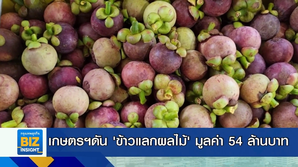 เกษตรฯดัน ’ข้าวแลกผลไม้’ มูลค่า 54 ล้านบาท