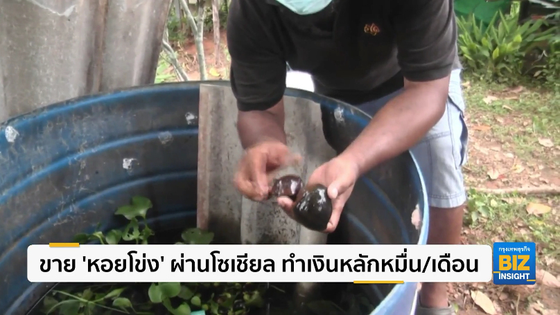 ขาย ’หอยโข่ง’ ผ่านโซเชียล ทำเงินหลักหมื่น/เดือน